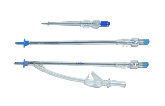 Aortic Root Cannula